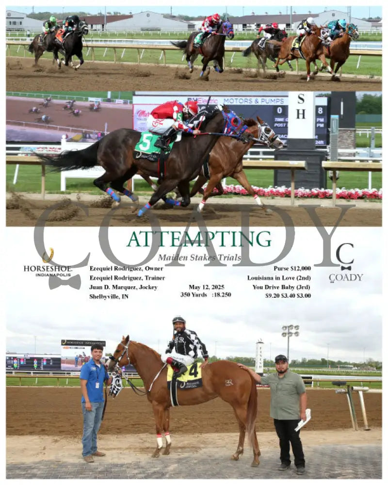 ATTEMPTING - Maiden Stakes Trials - 05-12-25 - R08 - IND Indiana Grand