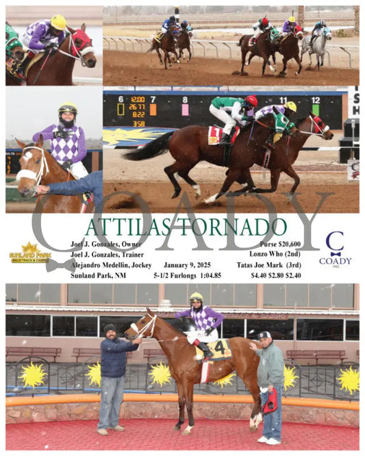 Attilas Tornado - 01-09-25 R02 Sun (Copy) Turfway Park