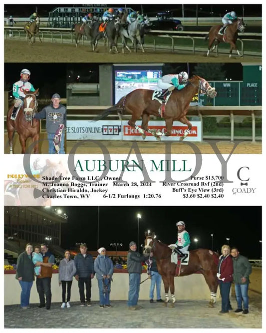 Auburn Mill - 03 - 28 - 24 R04 Ct Hollywood Casino At Charles Town Races