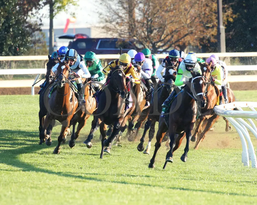 Aunt Pearl - Juvenile Fillies Turf G1 11-06-20 R09 Kee Turn 01 Keeneland