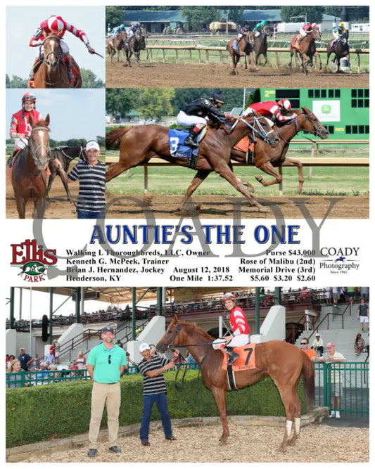 Auntie’s The One - 081218 Race 07 Elp Ellis Park
