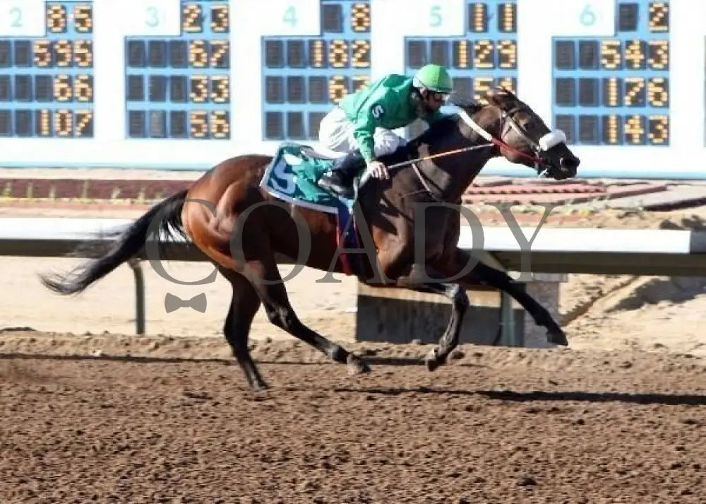 Austin Lights - Inaugural Handicap Sunray Park