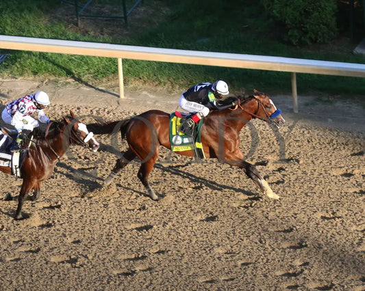 Authentic - The Kentucky Derby 146Th Running 09-05-20 R14 Cd Aerial Turn Tight 01 Churchill Downs