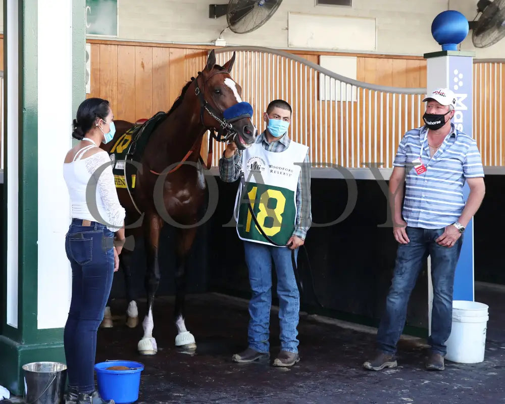 Authentic - The Kentucky Derby 146Th Running 09-05-20 R14 Cd Paddock 02 Churchill Downs