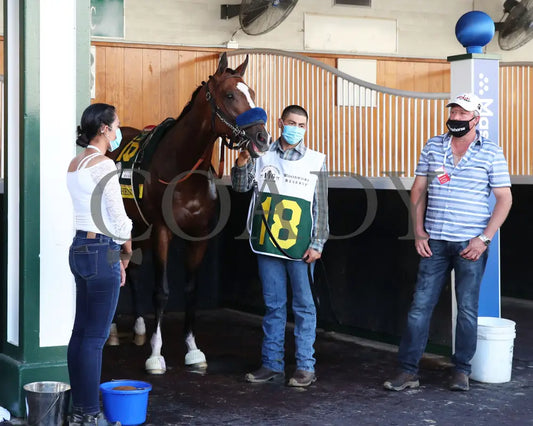 Authentic - The Kentucky Derby 146Th Running 09-05-20 R14 Cd Paddock 02 Churchill Downs
