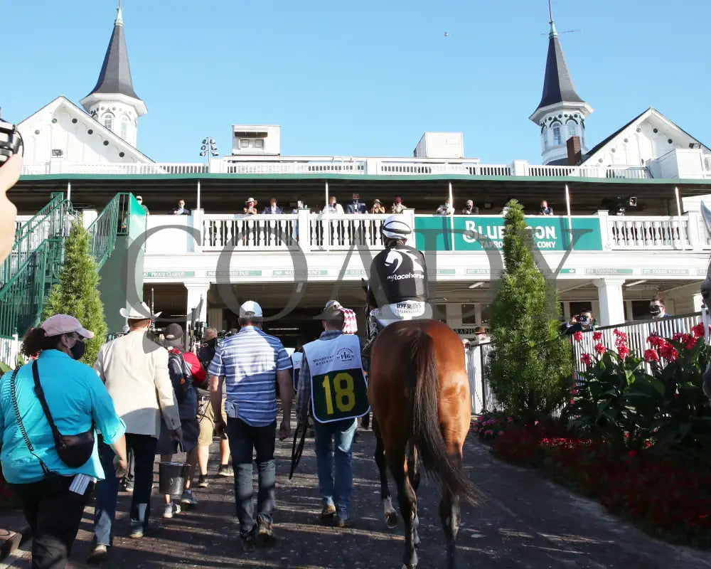 Authentic - The Kentucky Derby 146Th Running 09-05-20 R14 Cd Paddock 03 Churchill Downs