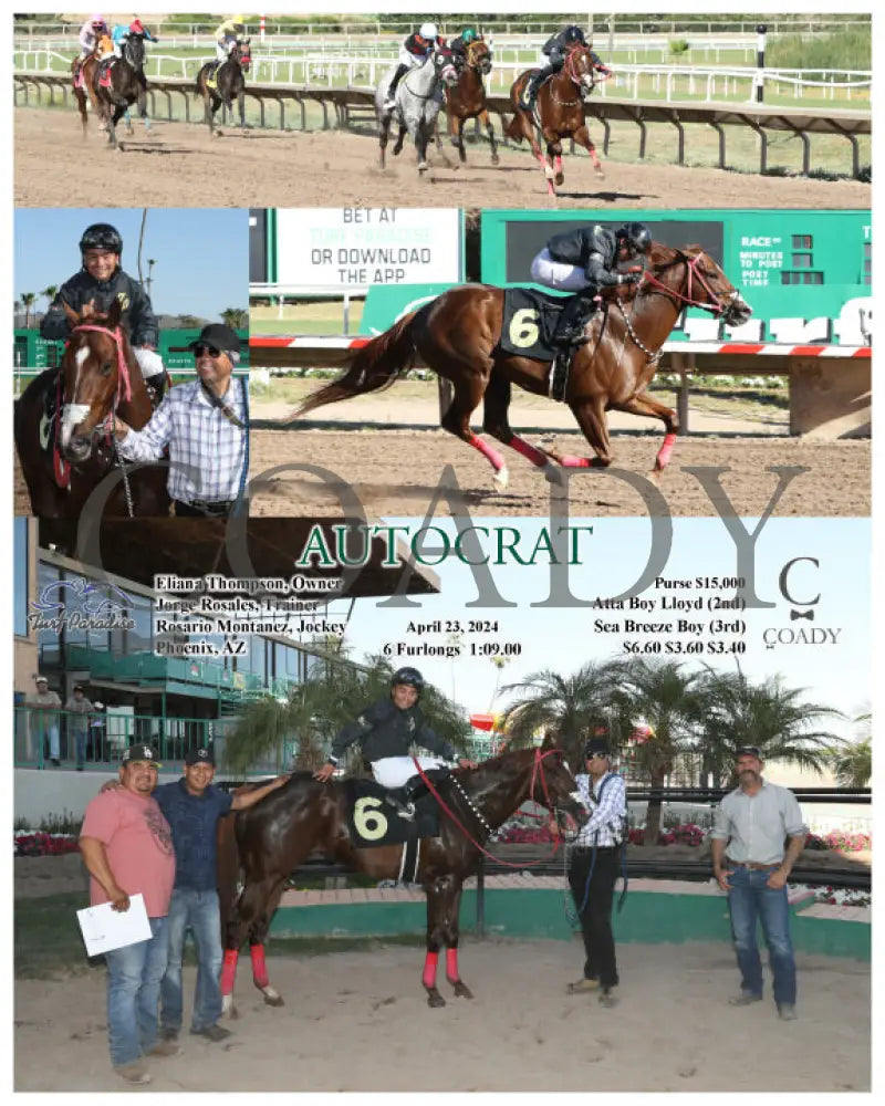 Autocrat - 04 - 23 - 24 R07 Tup Turf Paradise