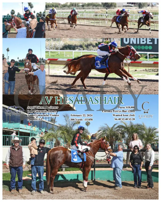 Av Hesadashair - 02-22-24 R01 Tup Turf Paradise