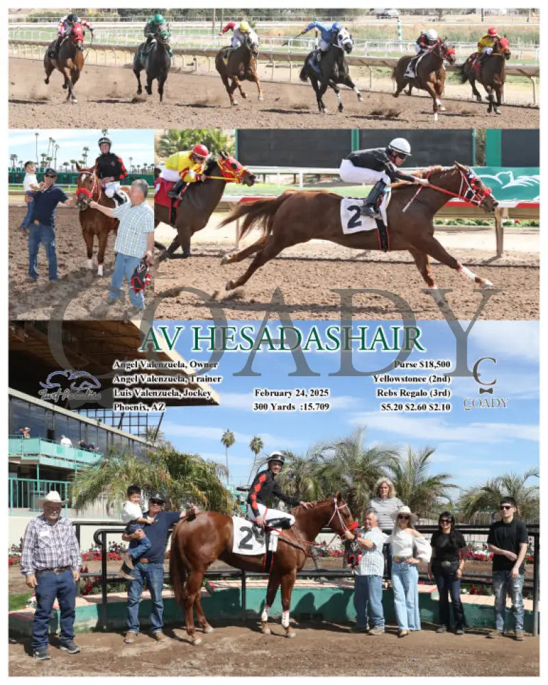 AV HESADASHAIR - 02-24-25 - R01 - TUP Turf Paradise