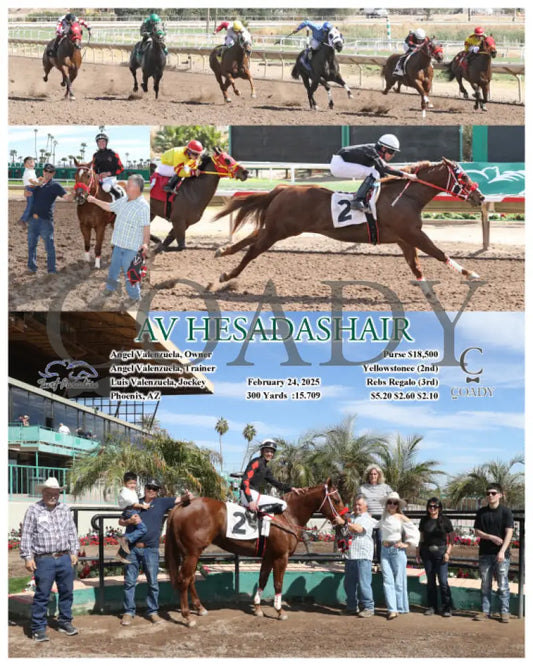 AV HESADASHAIR - 02-24-25 - R01 - TUP Turf Paradise