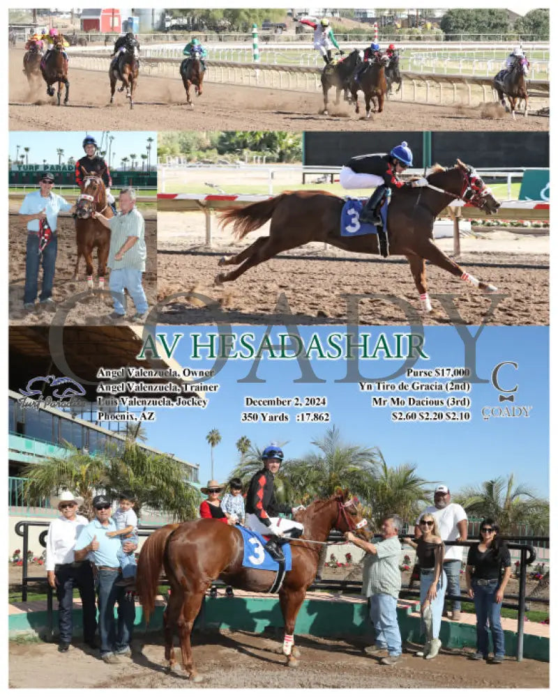 Av Hesadashair - 12-02-24 R01 Tup Turf Paradise