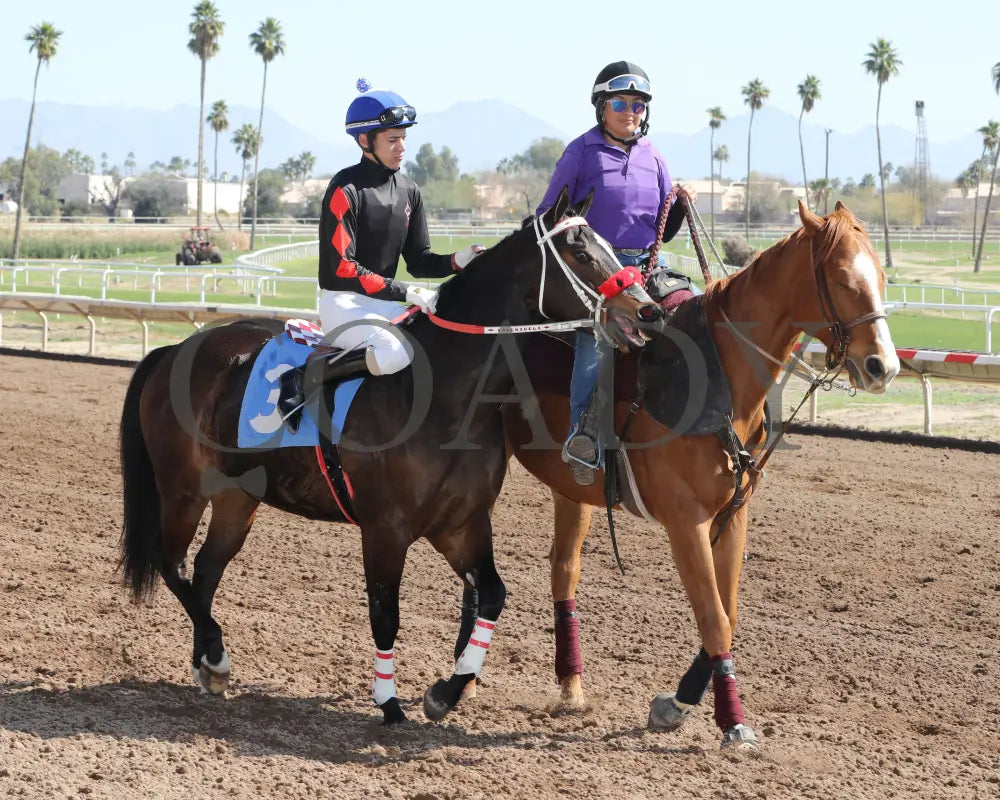 Av Tornadoe Warning - Desert Classic Stakes 02-15-24 R01 Turf Paradise Post Parade