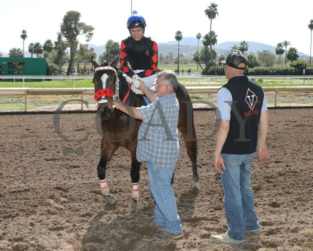 Av Tornadoe Warning - Desert Classic Stakes 02-15-24 R01 Turf Paradise Return Shot 2