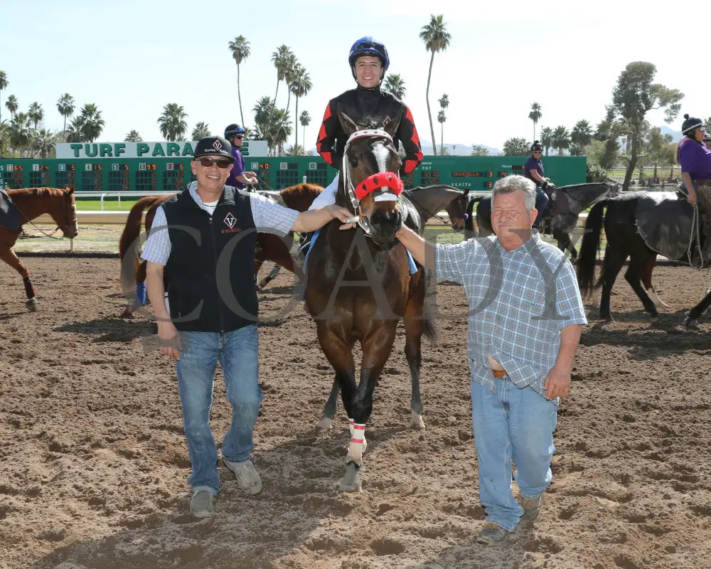 Av Tornadoe Warning - Desert Classic Stakes 02-15-24 R01 Turf Paradise Return Shot