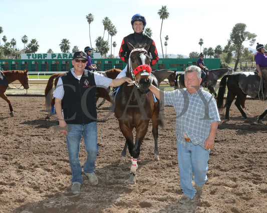Av Tornadoe Warning - Desert Classic Stakes 02-15-24 R01 Turf Paradise Return Shot