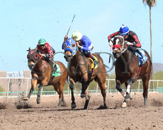 Av Tornadoe Warning - Desert Classic Stakes 02-15-24 R01 Turf Paradise Under Rail