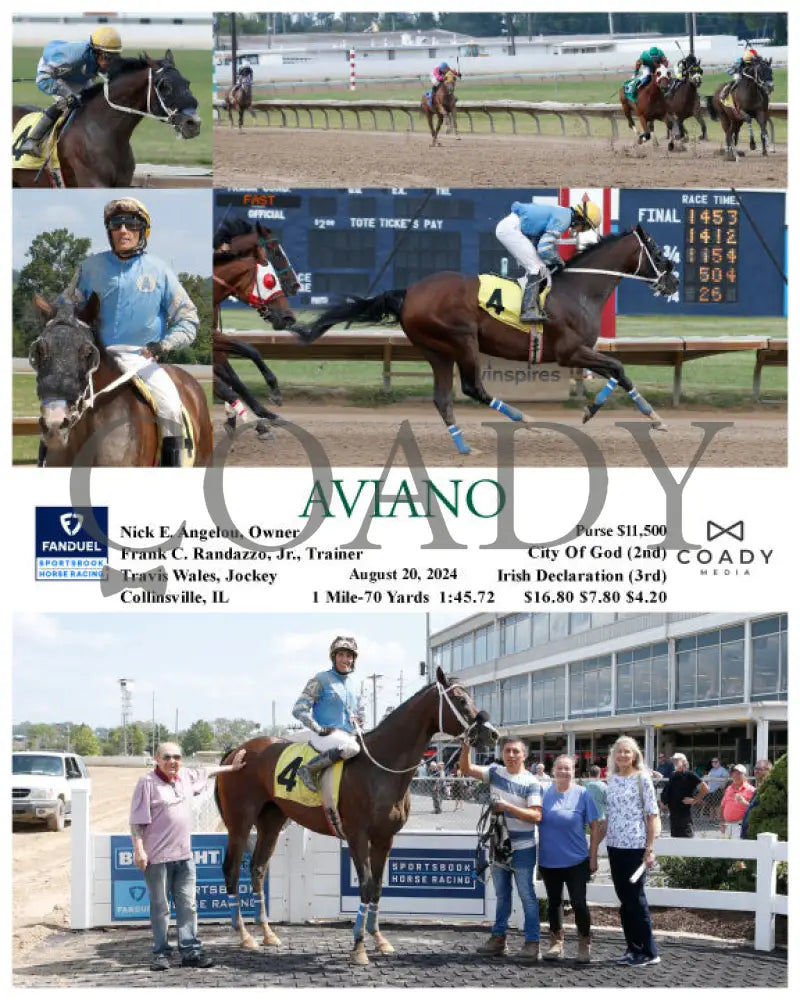 Aviano - 08-20-24 R04 Fan Fanduel Sportsbook Horse Racing