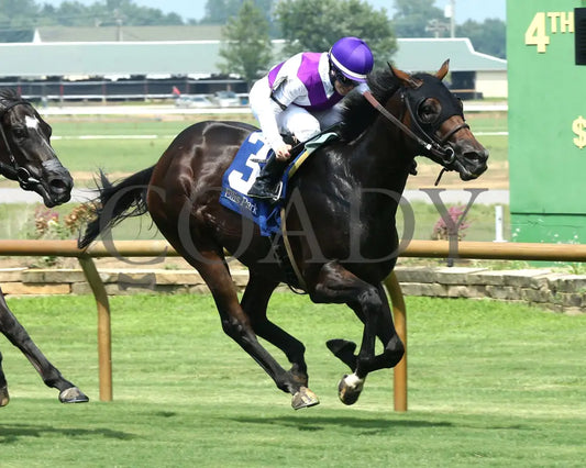 Awesome Treat - Ky Downs Preview Ladies Turf Sprint 6Th Running 08-03-24 R07 Elp Finish 03 Ellis