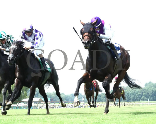 Awesome Treat - Ky Downs Preview Ladies Turf Sprint 6Th Running 08-03-24 R07 -Elp Under Rail 01