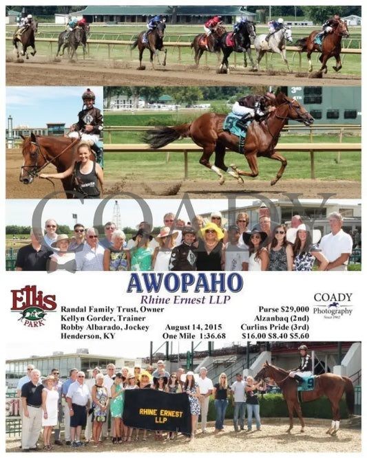 Awopaho - 081415 Race 06 Elp Ellis Park