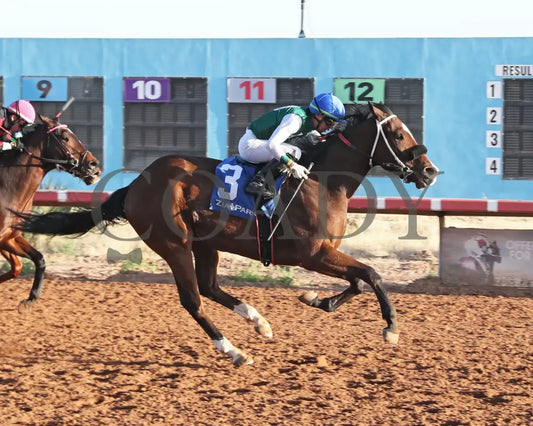 B Bold Charlie - Hobbs Fall Classic 12-17-24 R09 Zia Park Finish