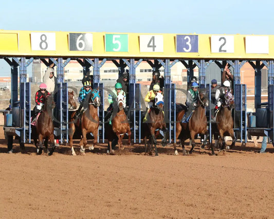 B Bold Charlie - Hobbs Fall Classic 12-17-24 R09 Zia Park Starting Gate