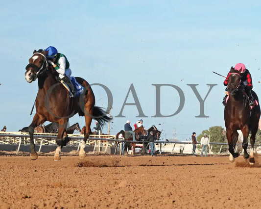 B Bold Charlie - Hobbs Fall Classic 12-17-24 R09 Zia Park Under Rail