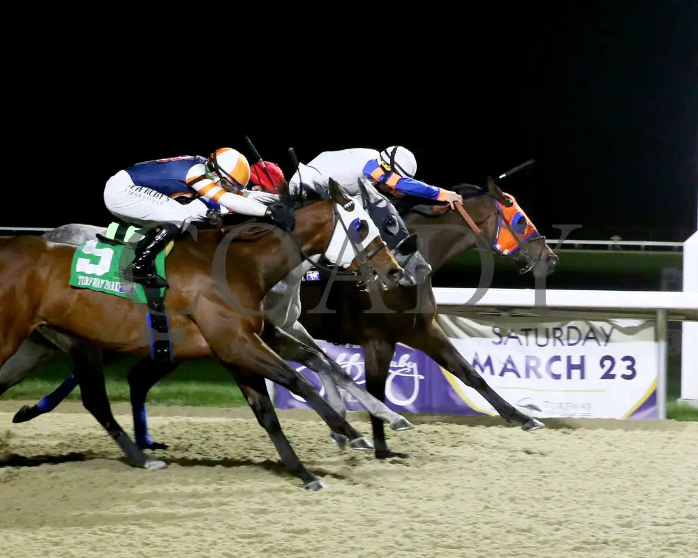 B G Warrior - The Queen 28Th Running 03 - 16 - 24 R06 Tp Finish 01 Turfway Park