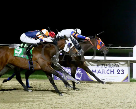 B G Warrior - The Queen 28Th Running 03 - 16 - 24 R06 Tp Finish 01 Turfway Park