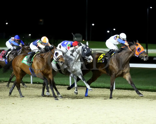 B G Warrior - The Queen 28Th Running 03 - 16 - 24 R06 Tp Finish 02 Turfway Park