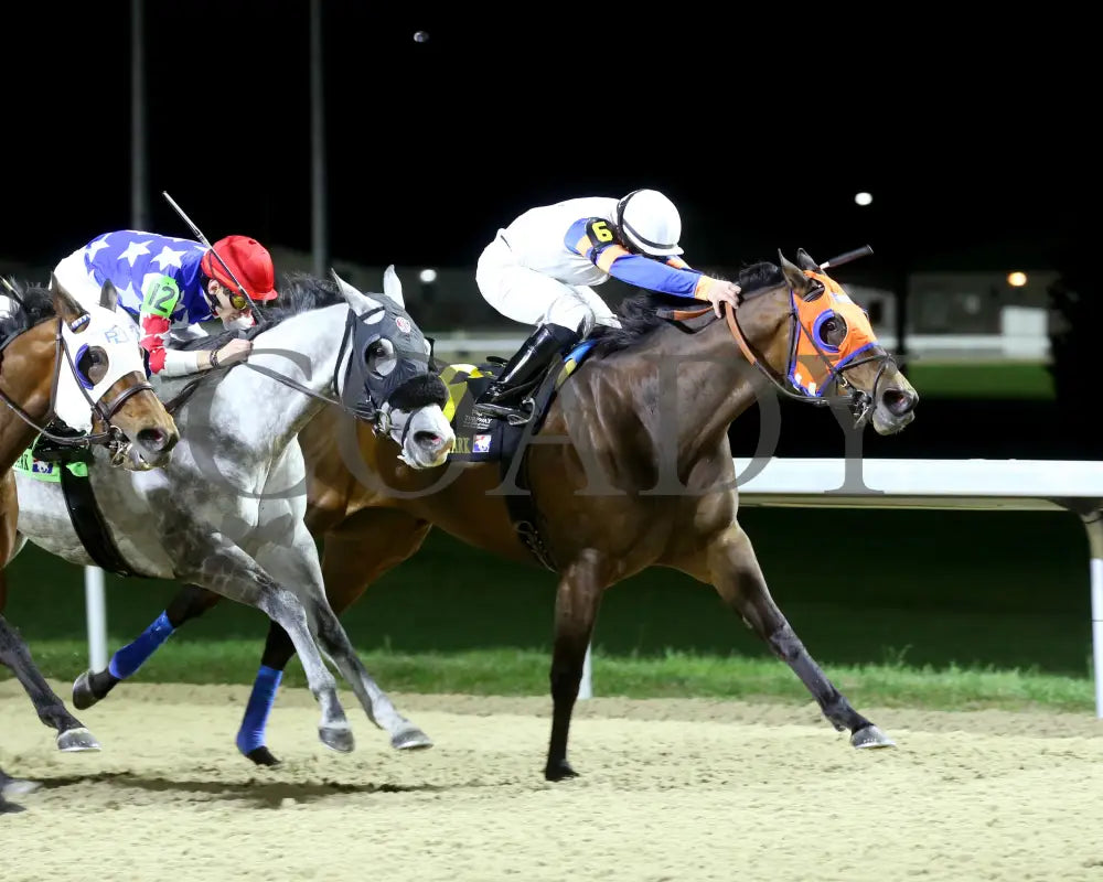 B G Warrior - The Queen 28Th Running 03 - 16 - 24 R06 Tp Finish 03 Turfway Park