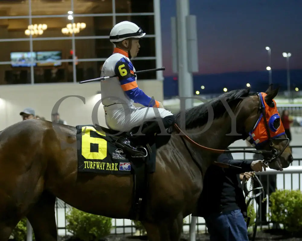 B G Warrior - The Queen 28Th Running 03 - 16 - 24 R06 Tp Paddock 01 Turfway Park