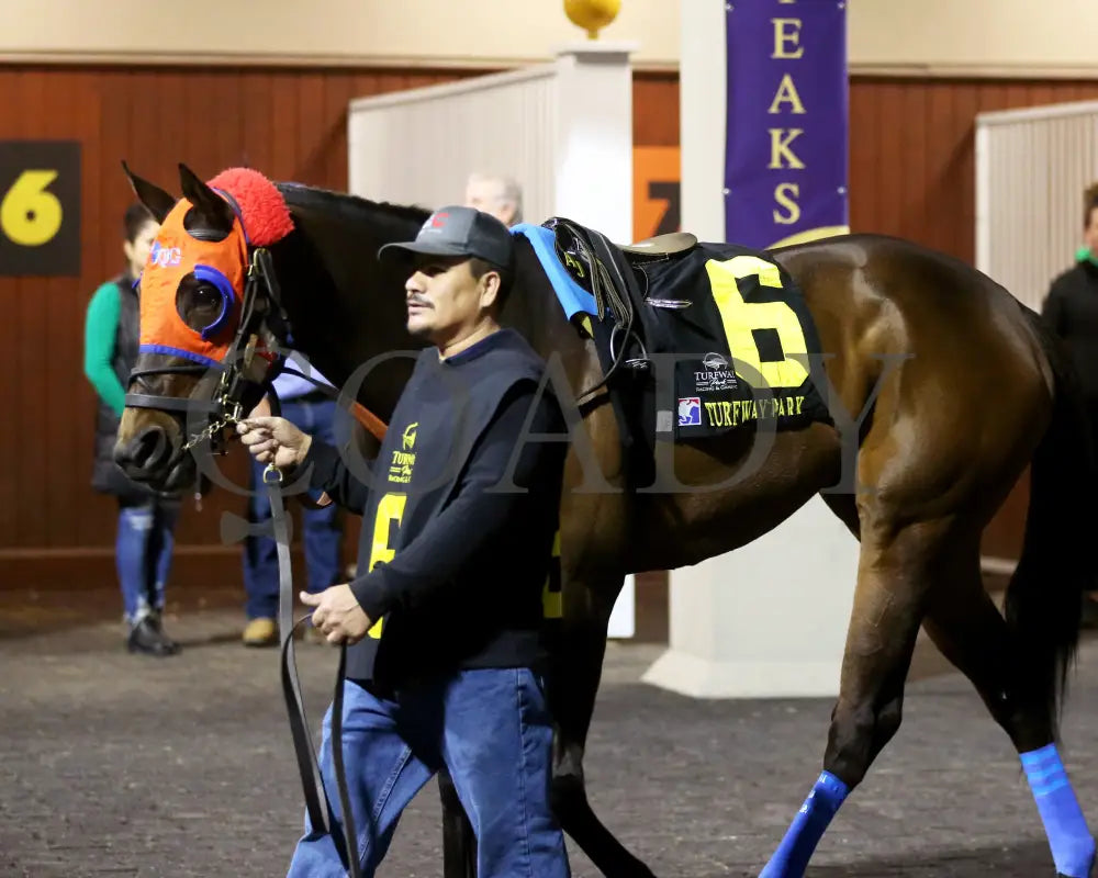 B G Warrior - The Queen 28Th Running 03 - 16 - 24 R06 Tp Paddock 02 Turfway Park
