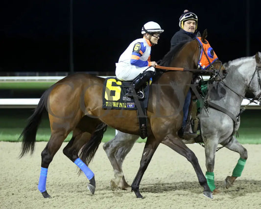 B G Warrior - The Queen 28Th Running 03 - 16 - 24 R06 Tp Post Parade 01 Turfway Park