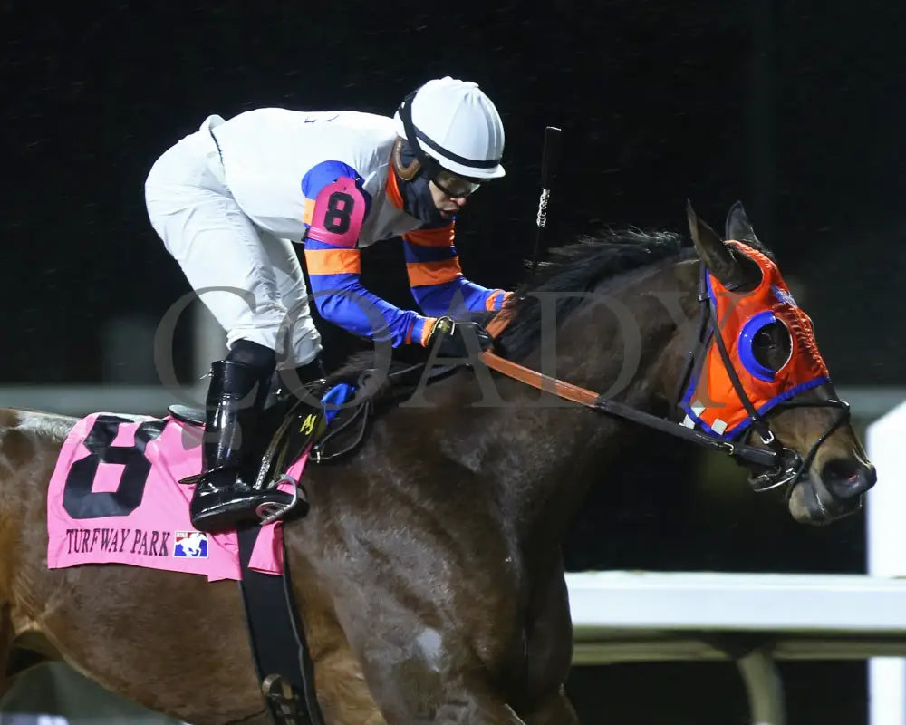 B G Warrior - The Wishing Well 31St Running 01-27-24 R08 Tp Finish 03 Turfway Park