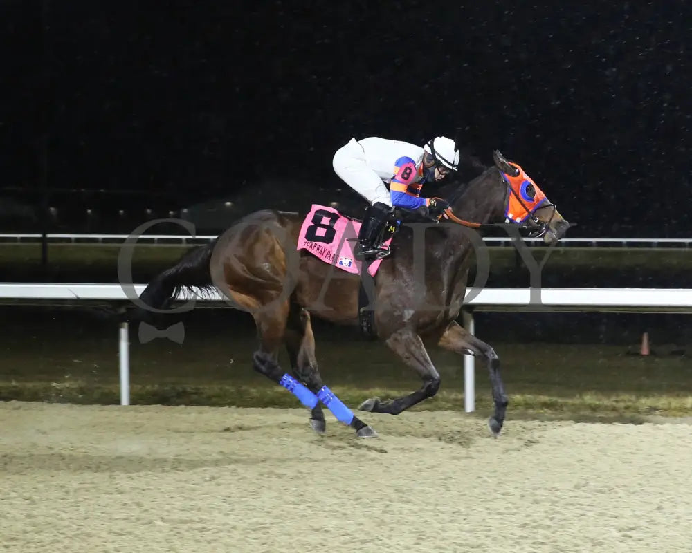 B G Warrior - The Wishing Well 31St Running 01-27-24 R08 Tp Finish 01 Turfway Park