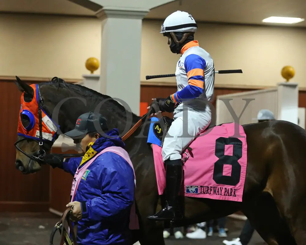 B G Warrior - The Wishing Well 31St Running 01-27-24 R08 Tp Paddock 01 Turfway Park