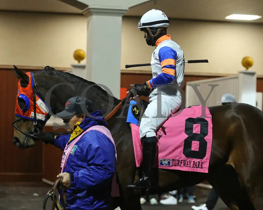 B G Warrior - The Wishing Well 31St Running 01-27-24 R08 Tp Paddock 01 Turfway Park