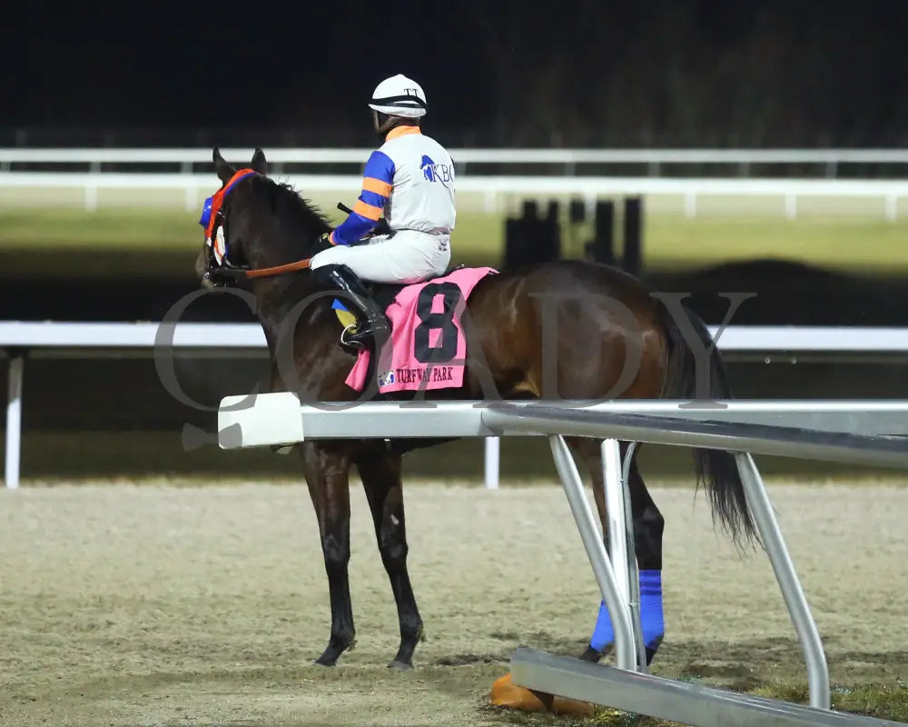 B G Warrior - The Wishing Well 31St Running 01-27-24 R08 Tp Post Race 01 Turfway Park