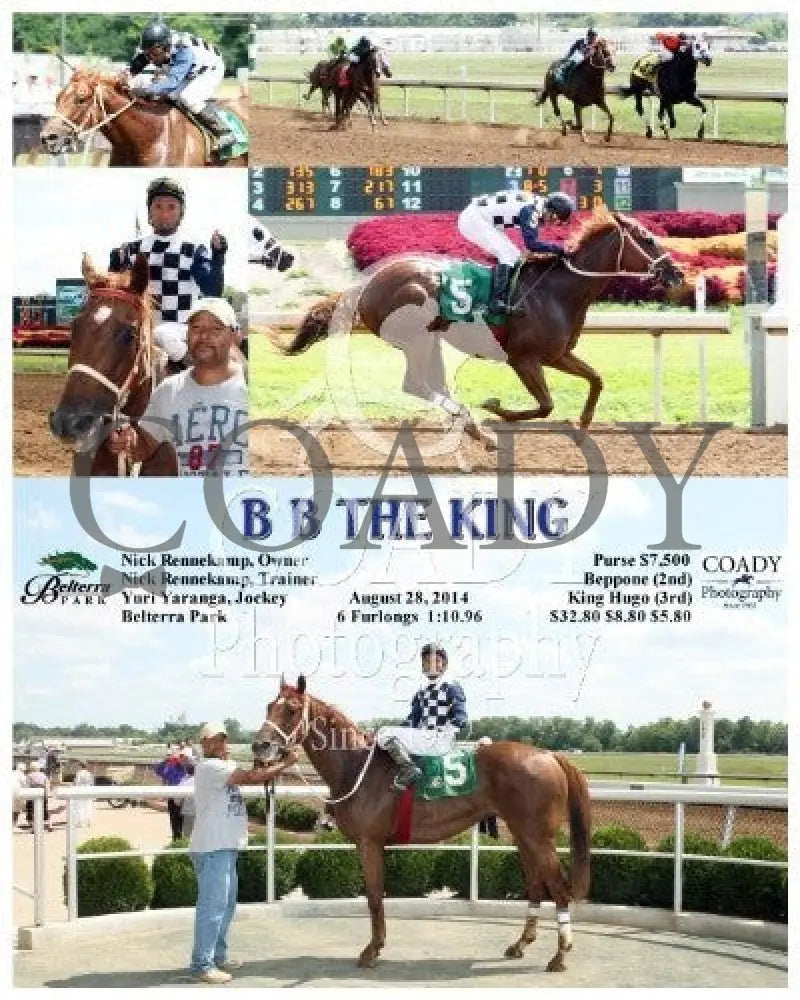 B The King - 082814 Race 03 Btp Belterra Park