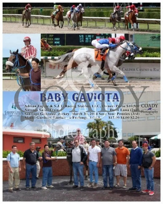 Baby Gaviota - 033014 Race 04 Crc Calder Course