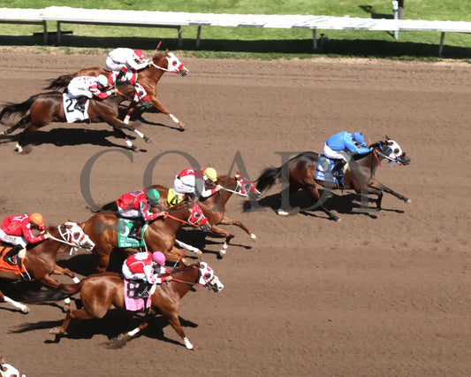 Bacardi - All American Quarter Horse Invitational S 09-02-24 R05 The Downs At Albuquerque Aerial