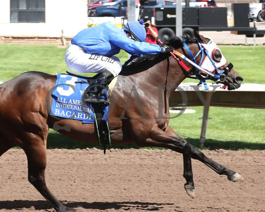 Bacardi - All American Quarter Horse Invitational S 09-02-24 R05 The Downs At Albuquerque Finish 03