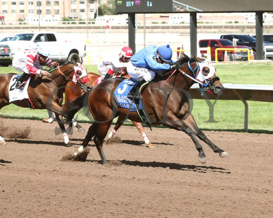 Bacardi - All American Quarter Horse Invitational S 09-02-24 R05 The Downs At Albuquerque Finish 02