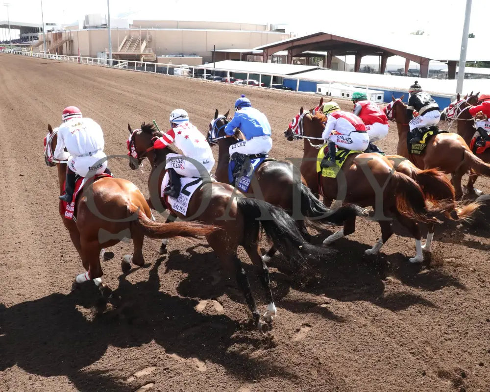 Bacardi - All American Quarter Horse Invitational S 09-02-24 R05 The Downs At Albuquerque Gate