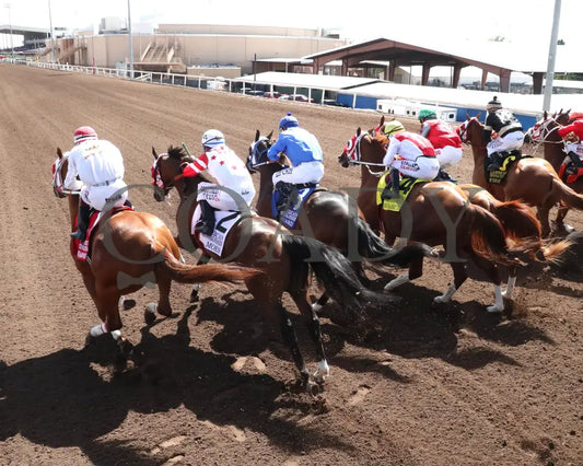 Bacardi - All American Quarter Horse Invitational S 09-02-24 R05 The Downs At Albuquerque Gate