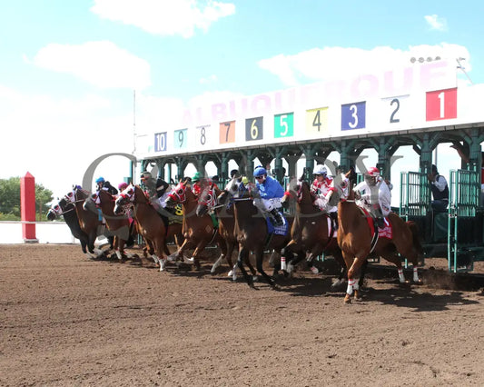 Bacardi - All American Quarter Horse Invitational S 09-02-24 R05 The Downs At Albuquerque Gate