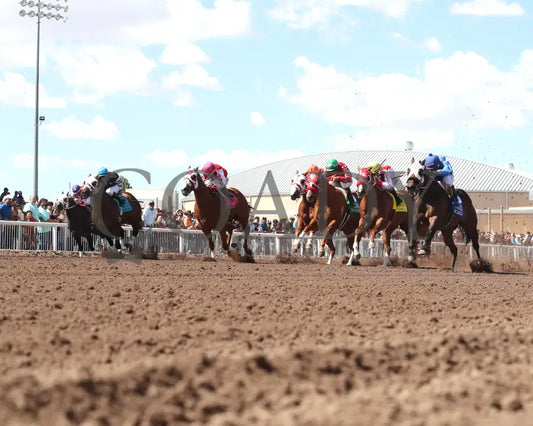 Bacardi - All American Quarter Horse Invitational S 09-02-24 R05 The Downs At Albuquerque Under