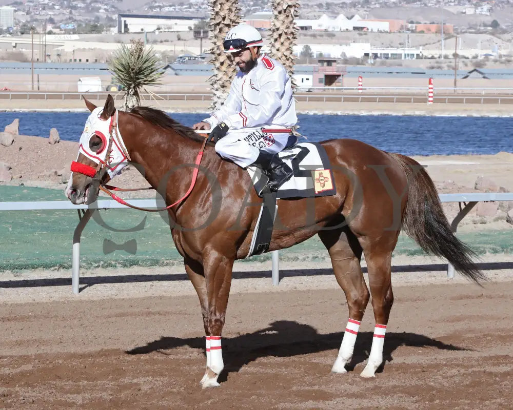 BAD KING - Pepsi Cola Stakes - 02-15-25 - R08 - Sunland Park - Return Shot2 - Coady Media - Kurtis Coady Photography