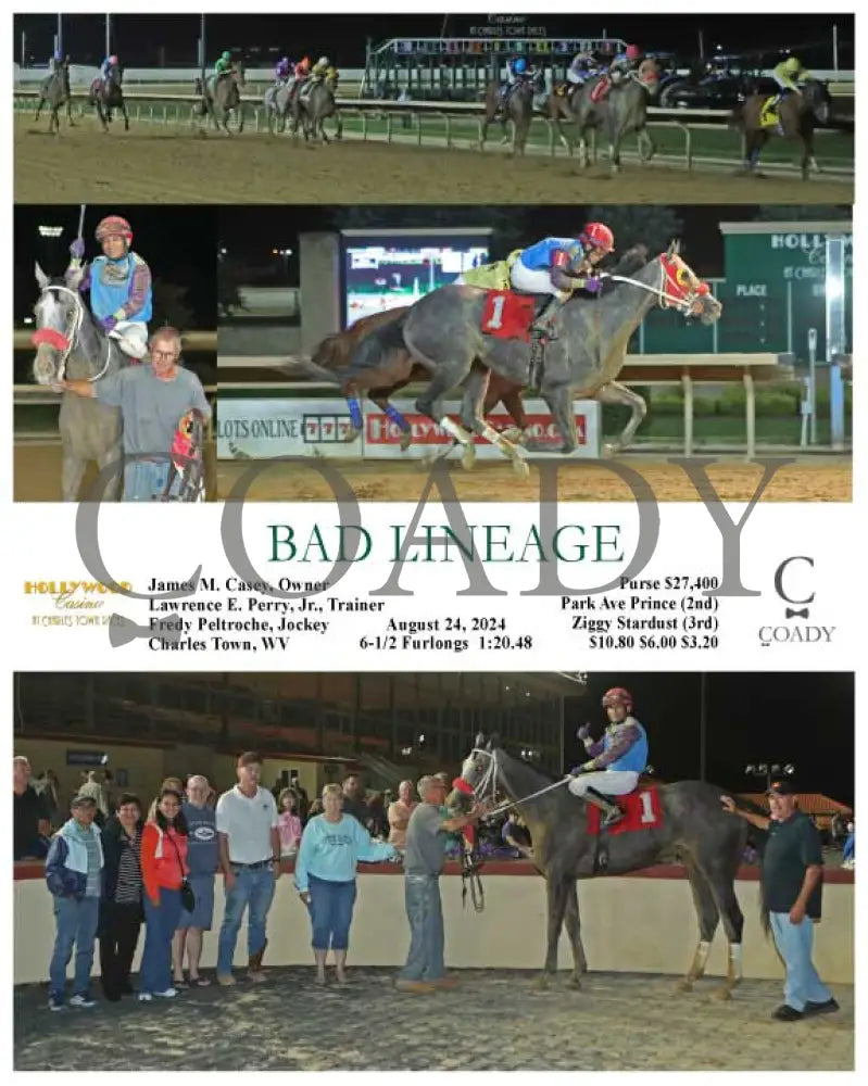 Bad Lineage - 08-24-24 R07 Ct Hollywood Casino At Charles Town Races